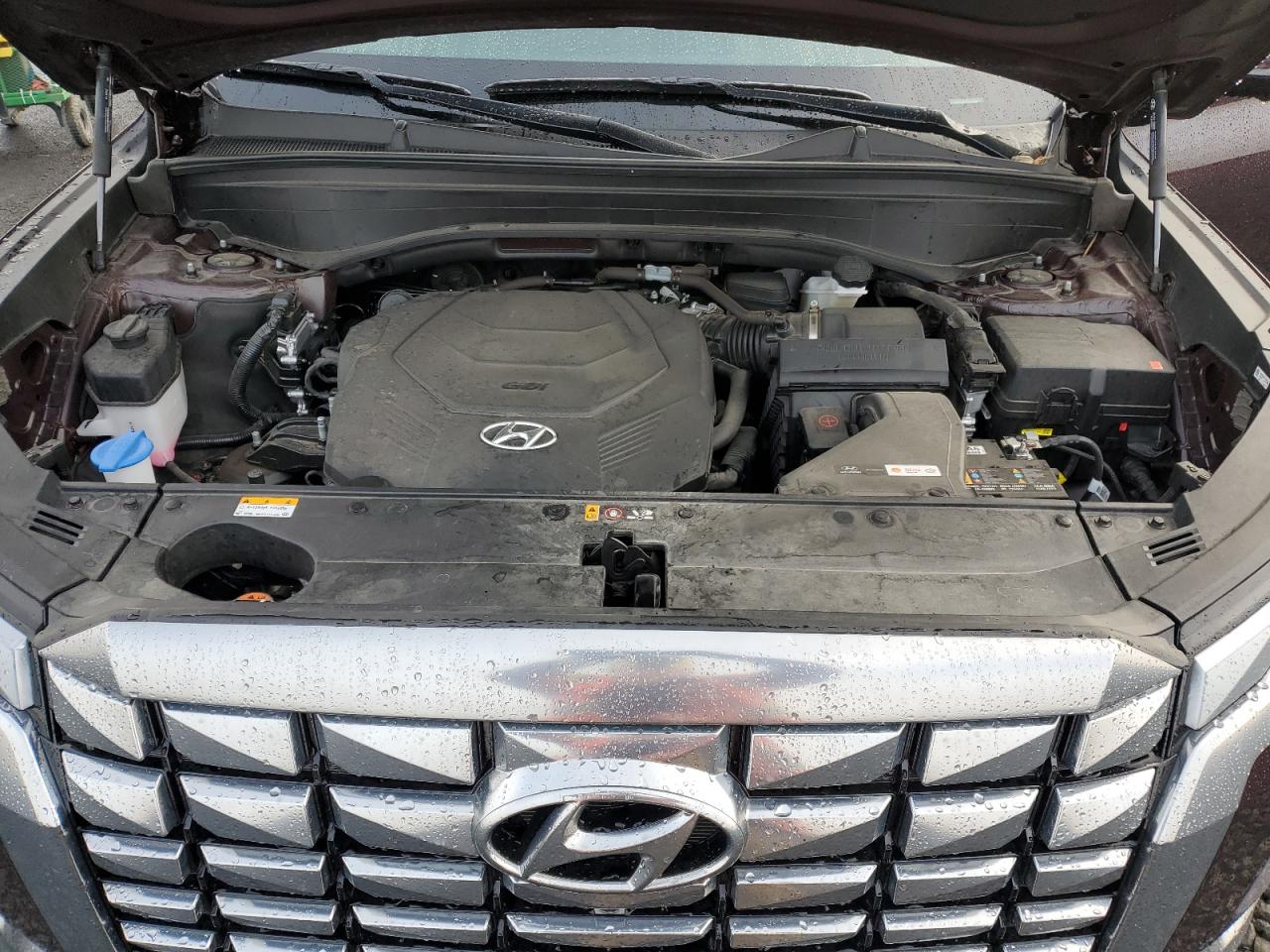 2024 Hyundai Palisade Calligraphy VIN: KM8R7DGE7RU757846 Lot: 92319935