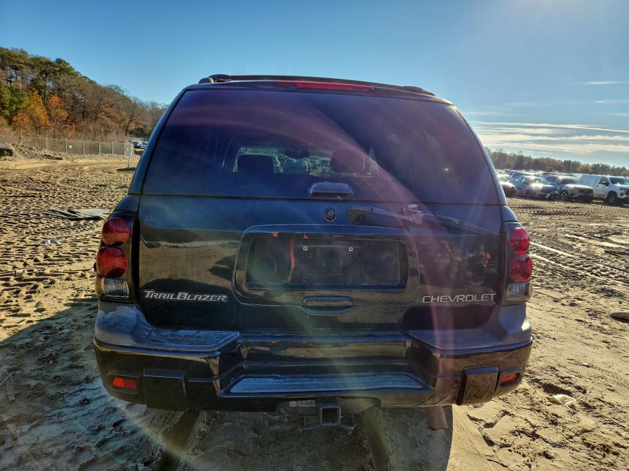 2004 Chevrolet Trailblazer Ls VIN: 1GNDT13S342245257 Lot: 93927485