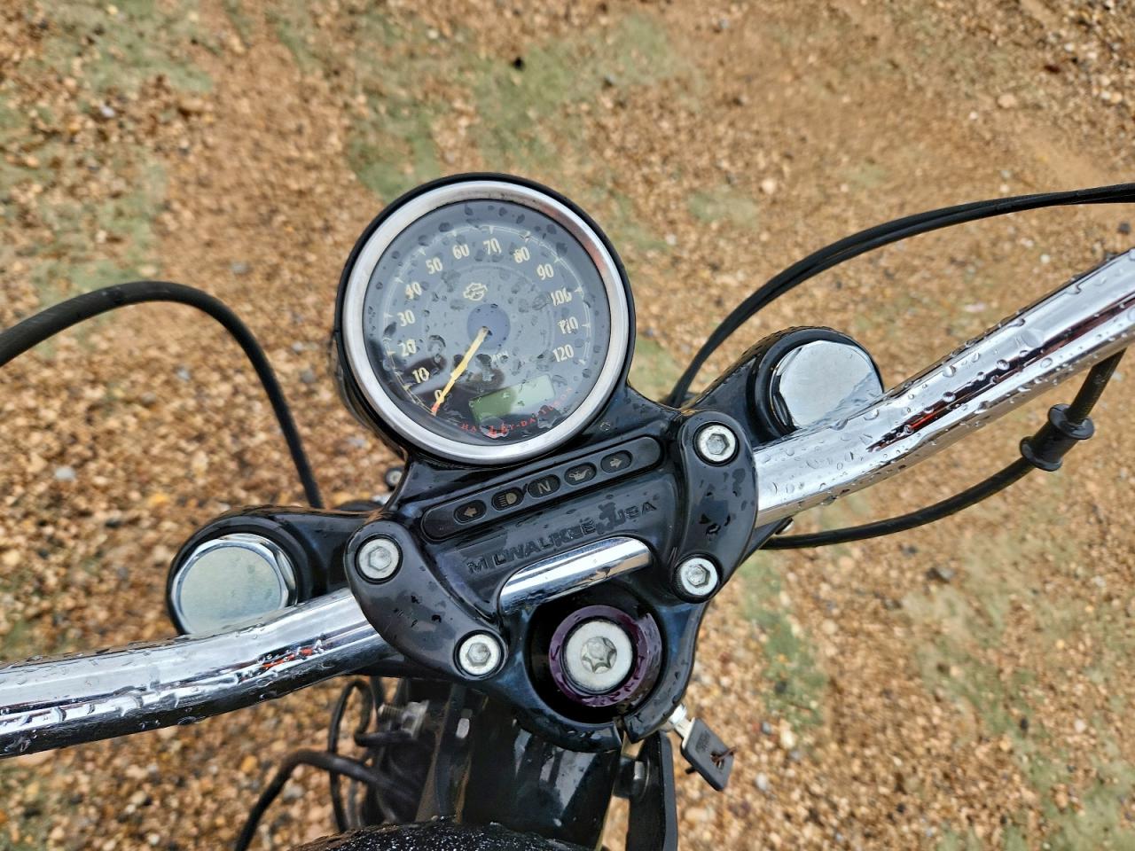 2014 Harley-Davidson Xl1200 Forty-Eight VIN: 1HD1LC315EC411383 Lot: 94518695