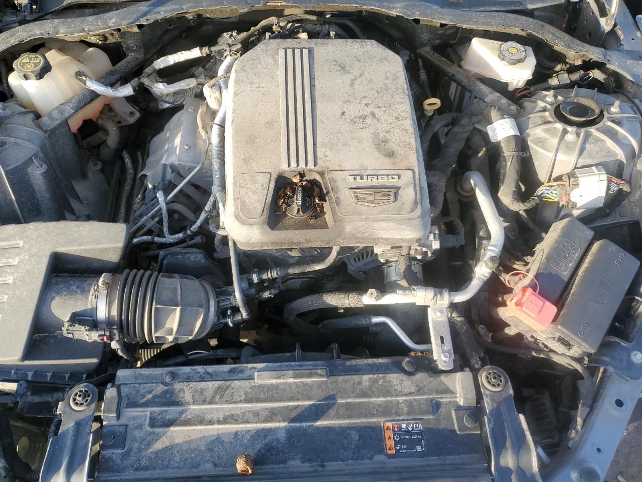 2020 Cadillac Ct5 Premium Luxury VIN: 1G6DT5RK1L0150457 Lot: 90096885