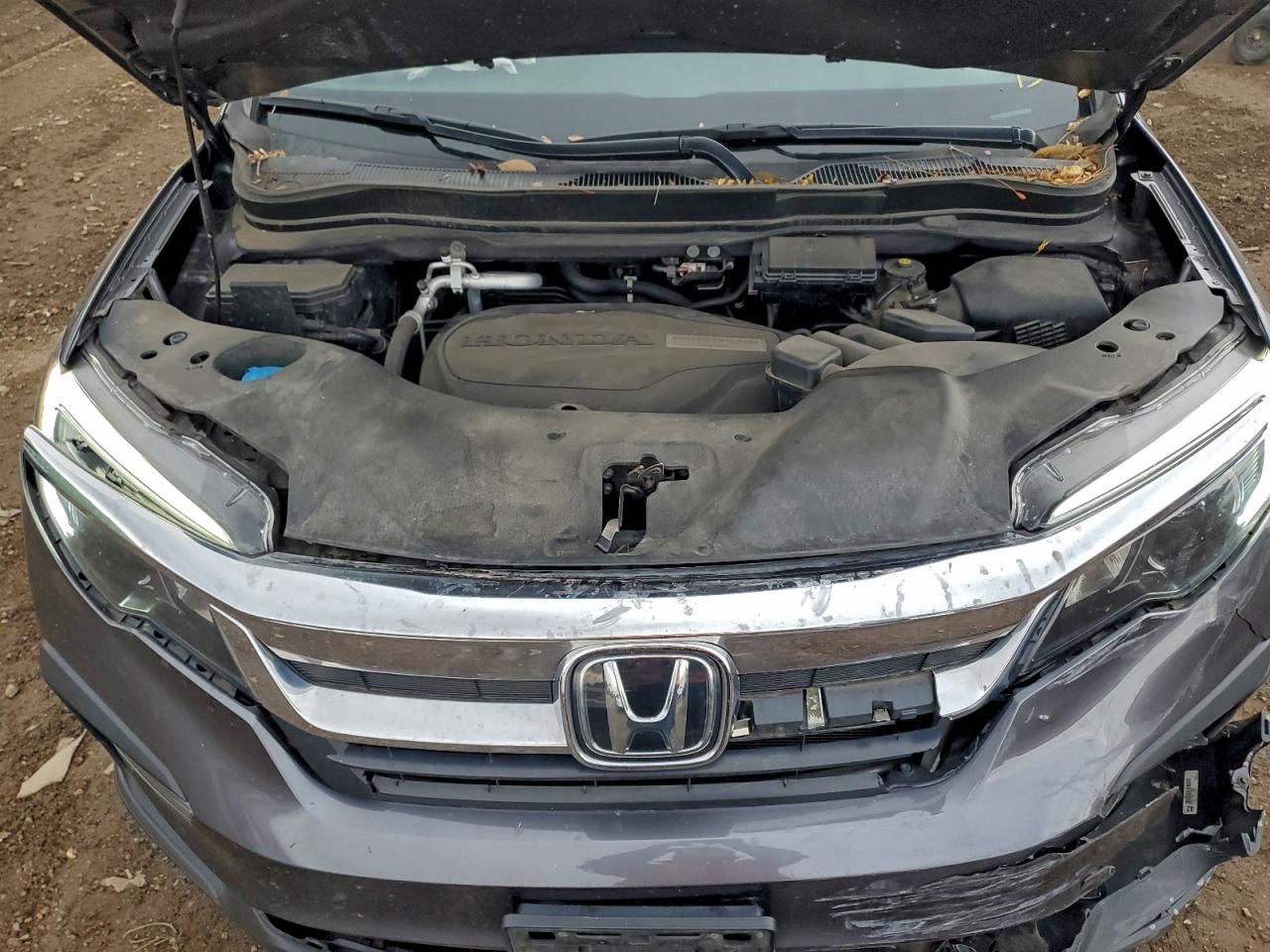 2020 Honda Pilot Exl VIN: 5FNYF6H59LB065648 Lot: 93275095