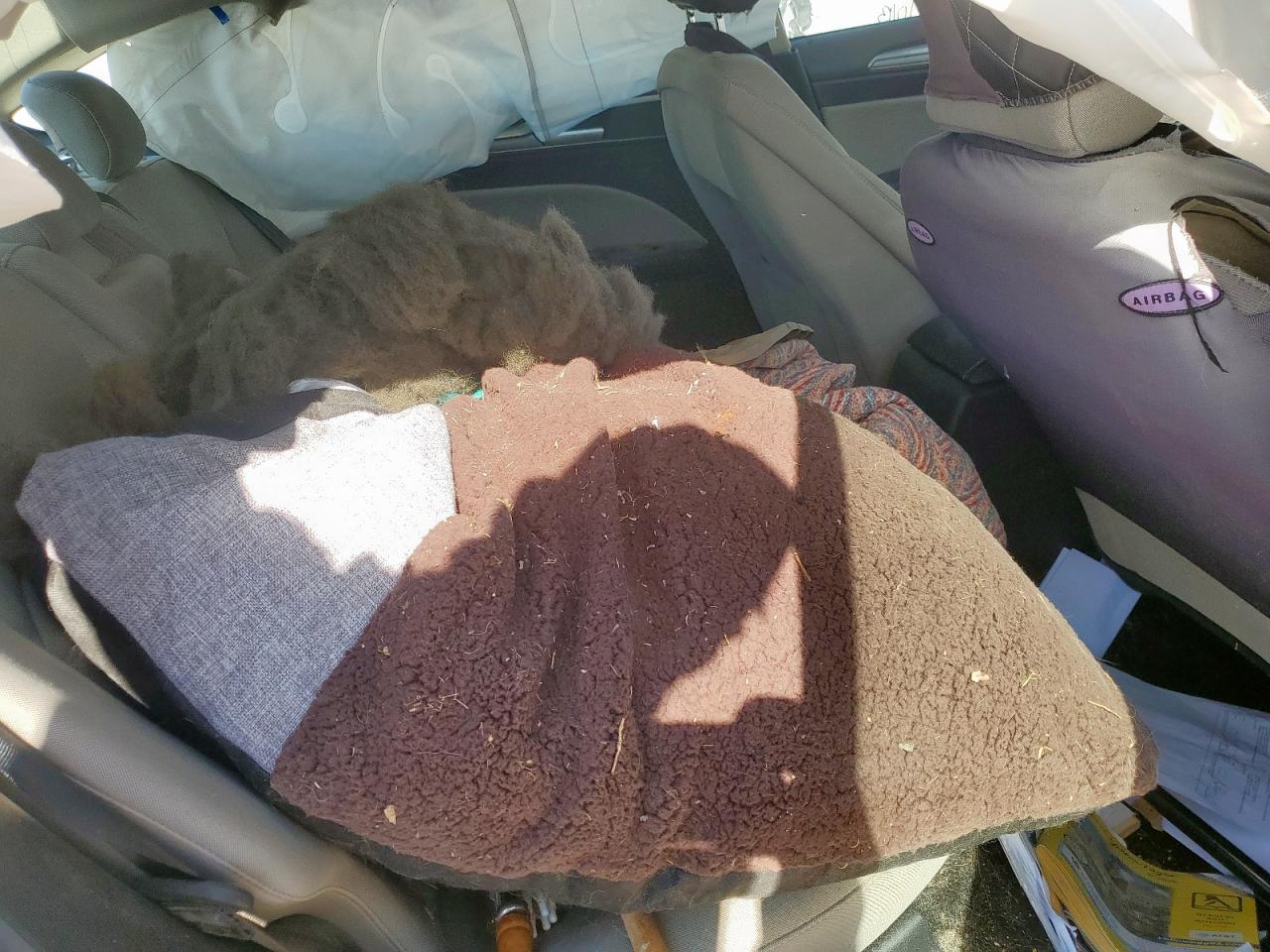 2019 Ford Fusion S VIN: 3FA6P0G7XKR231599 Lot: 87084135