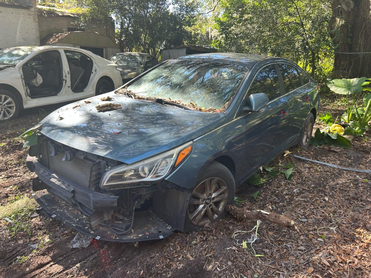 2016 Hyundai Sonata Se blue sedan gas 5NPE24AF7GH268034 photo #3