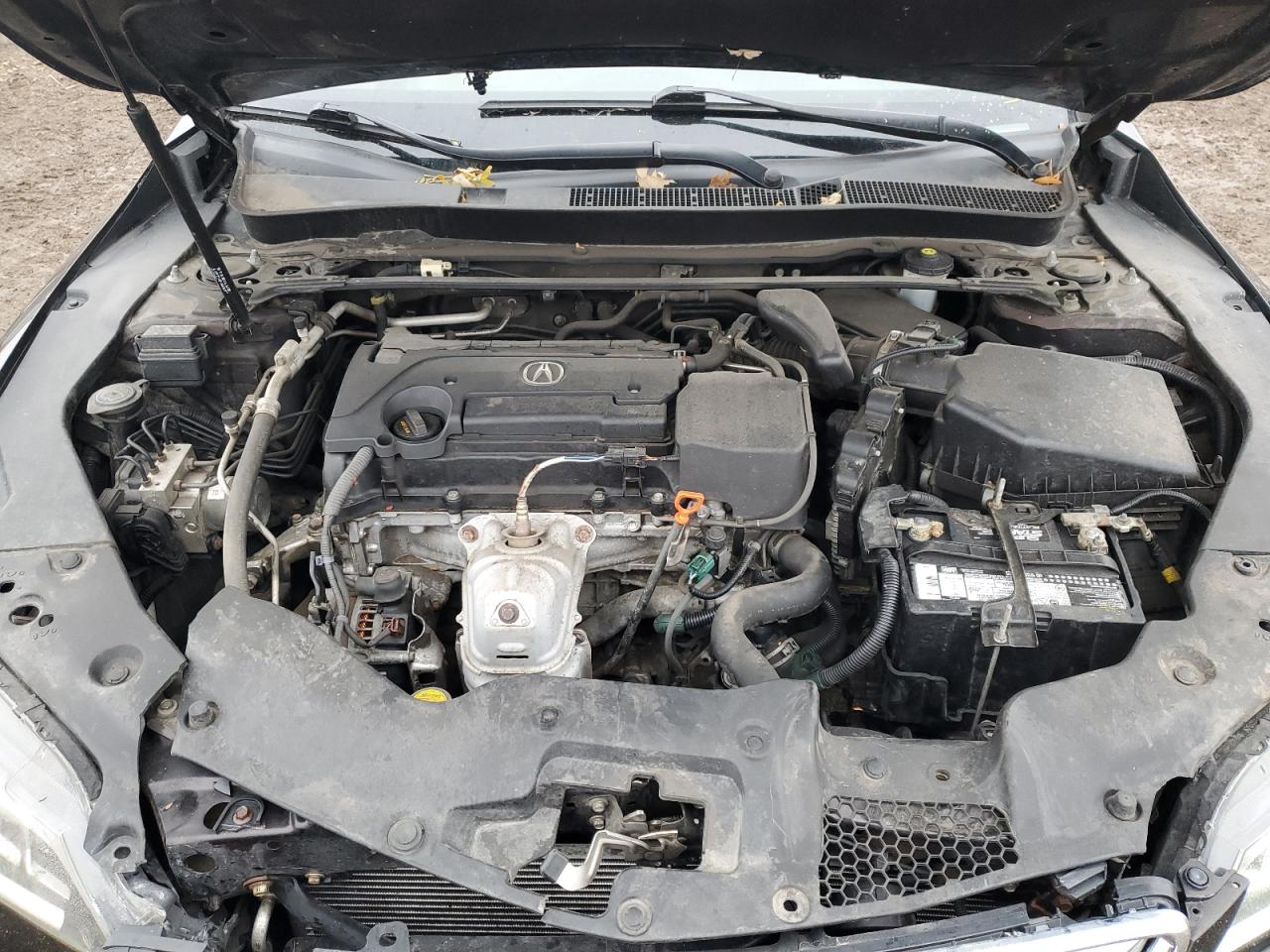 2015 Acura Tlx Tech VIN: 19UUB1F51FA000680 Lot: 93669655