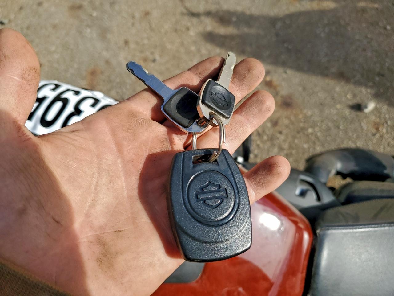 2024 Harley-Davidson Rh975 S VIN: 1HD1ZF110RB310864 Lot: 93736395