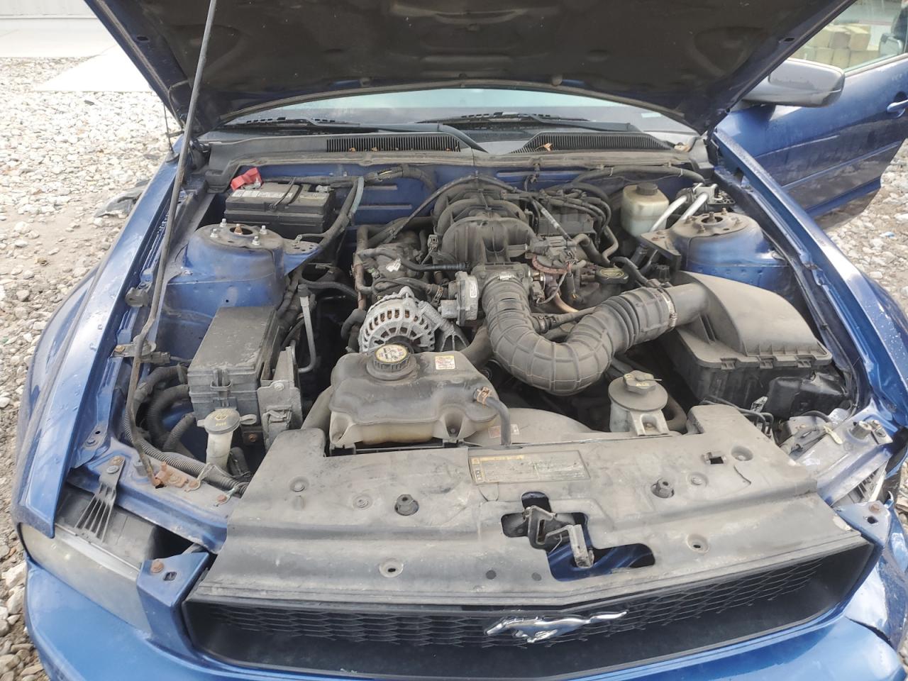 2006 Ford Mustang VIN: 1ZVFT84N865234823 Lot: 93426665