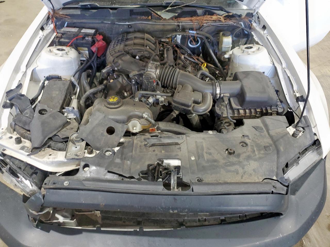 2013 Ford Mustang VIN: 1ZVBP8AM4D5235916 Lot: 91788675