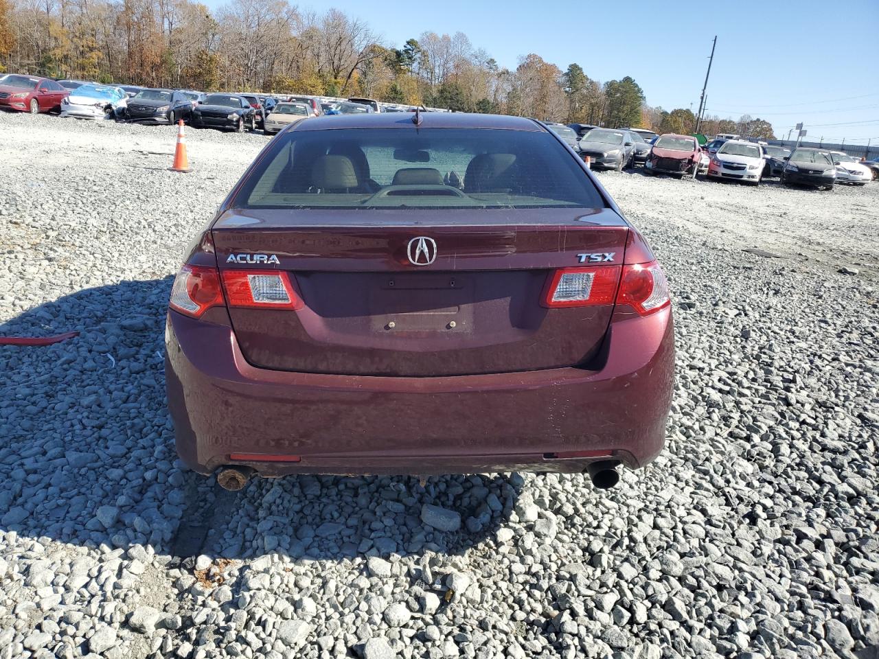 2010 Acura Tsx VIN: JH4CU2F66AC021037 Lot: 90859435