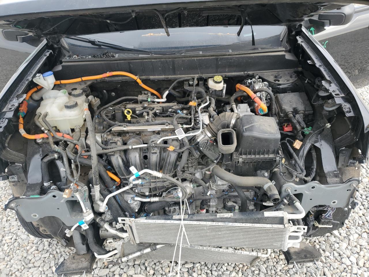 2024 Ford Maverick Xlt VIN: 3FTTW8H31RRB02395 Lot: 93886455