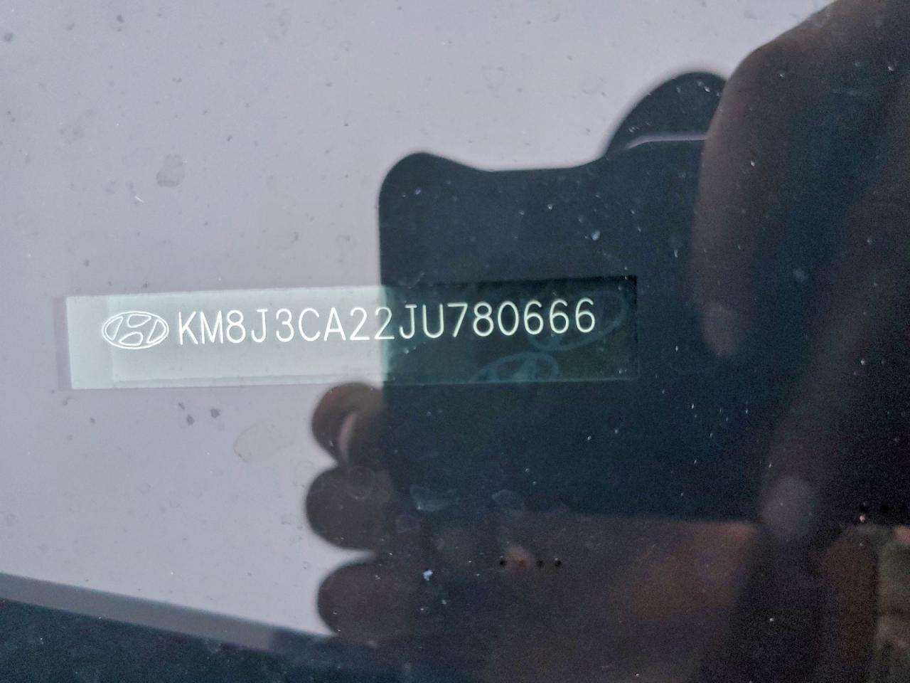 2018 Hyundai Tucson Value VIN: KM8J3CA22JU780666 Lot: 94094955