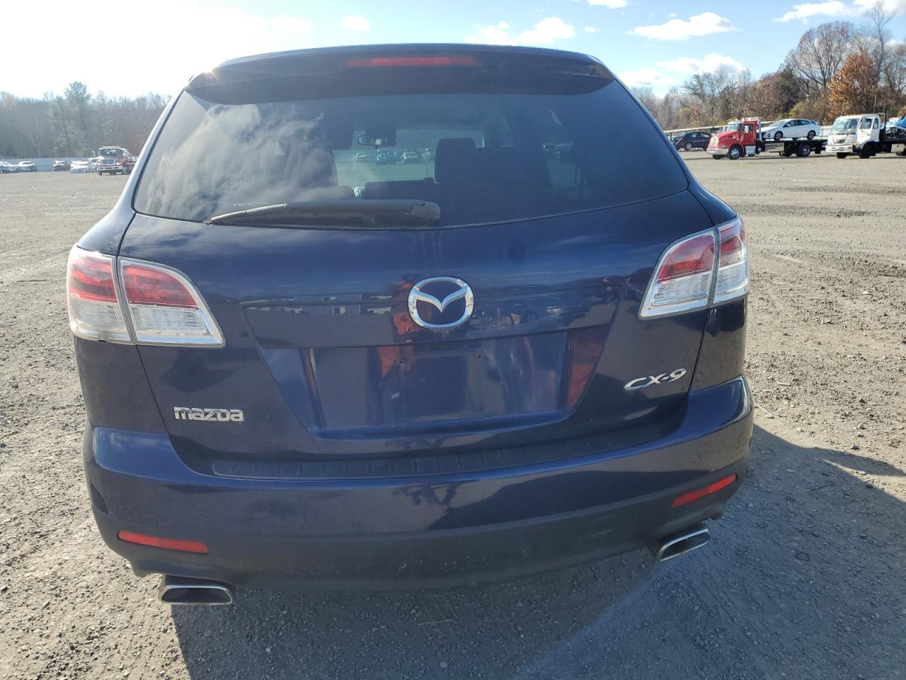 2009 Mazda Cx-9 VIN: JM3TB38V390167465 Lot: 85402965