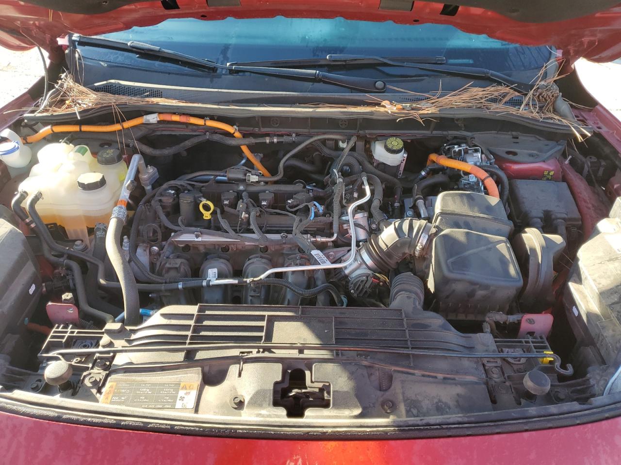 2022 Ford Escape Titanium VIN: 1FMCU9DZ8NUA00709 Lot: 92723925