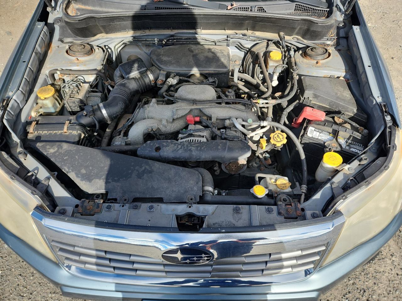 2010 Subaru Forester 2.5X Premium VIN: JF2SH6CC3AH764200 Lot: 92919755