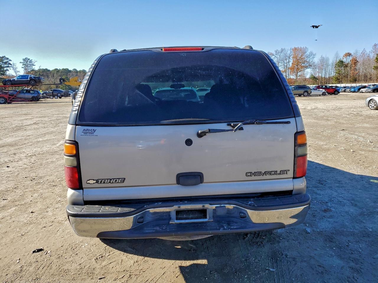 2004 Chevrolet Tahoe K1500 VIN: 1GNEK13Z24J128859 Lot: 94325305