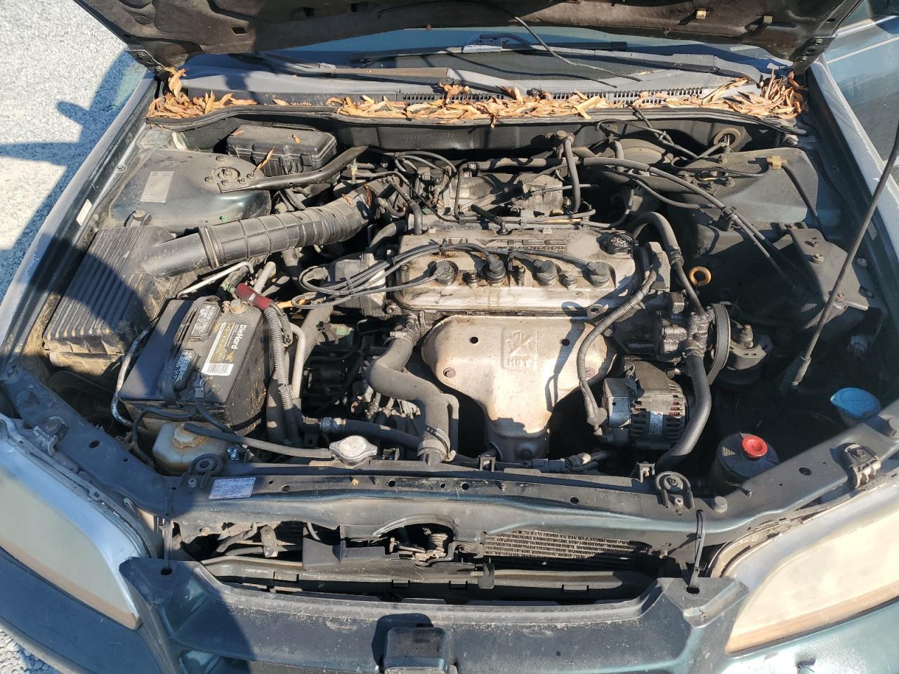 1999 Honda Accord Lx VIN: 1HGCG5642XA123384 Lot: 93649105