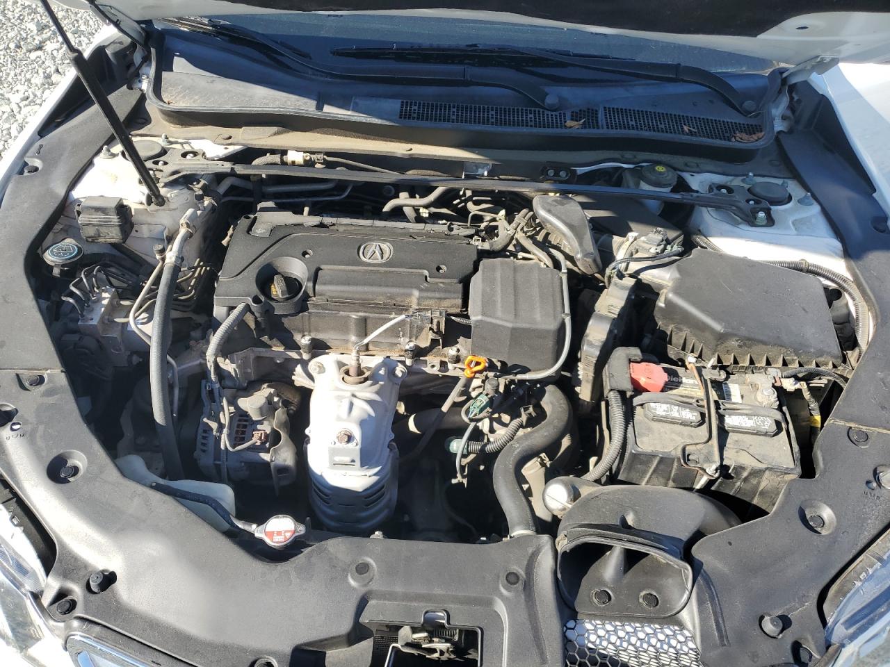 2015 Acura Tlx Tech VIN: 19UUB1F5XFA024525 Lot: 91498405