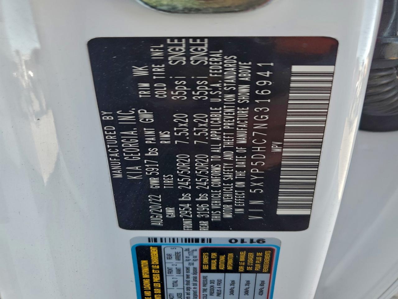 2022 Kia Telluride Sx VIN: 5XYP5DHC7NG316941 Lot: 94483815