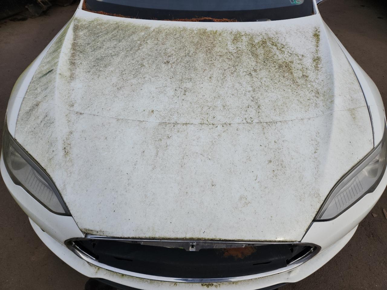 2013 Tesla Model S VIN: 5YJSA1CN4DFP13493 Lot: 91034615