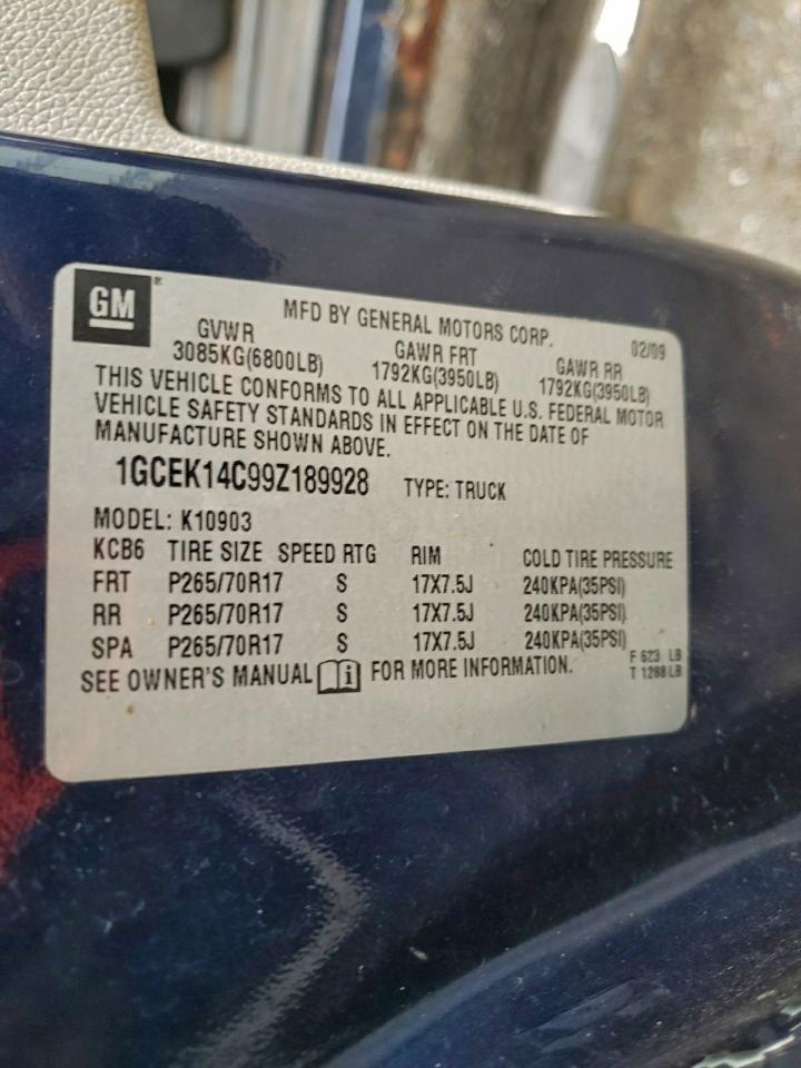 2009 Chevrolet Silverado K1500 VIN: 1GCEK14C99Z189928 Lot: 93940025