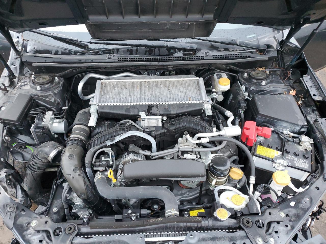 2024 Subaru Wrx VIN: JF1VBAB61R9803387 Lot: 92489825