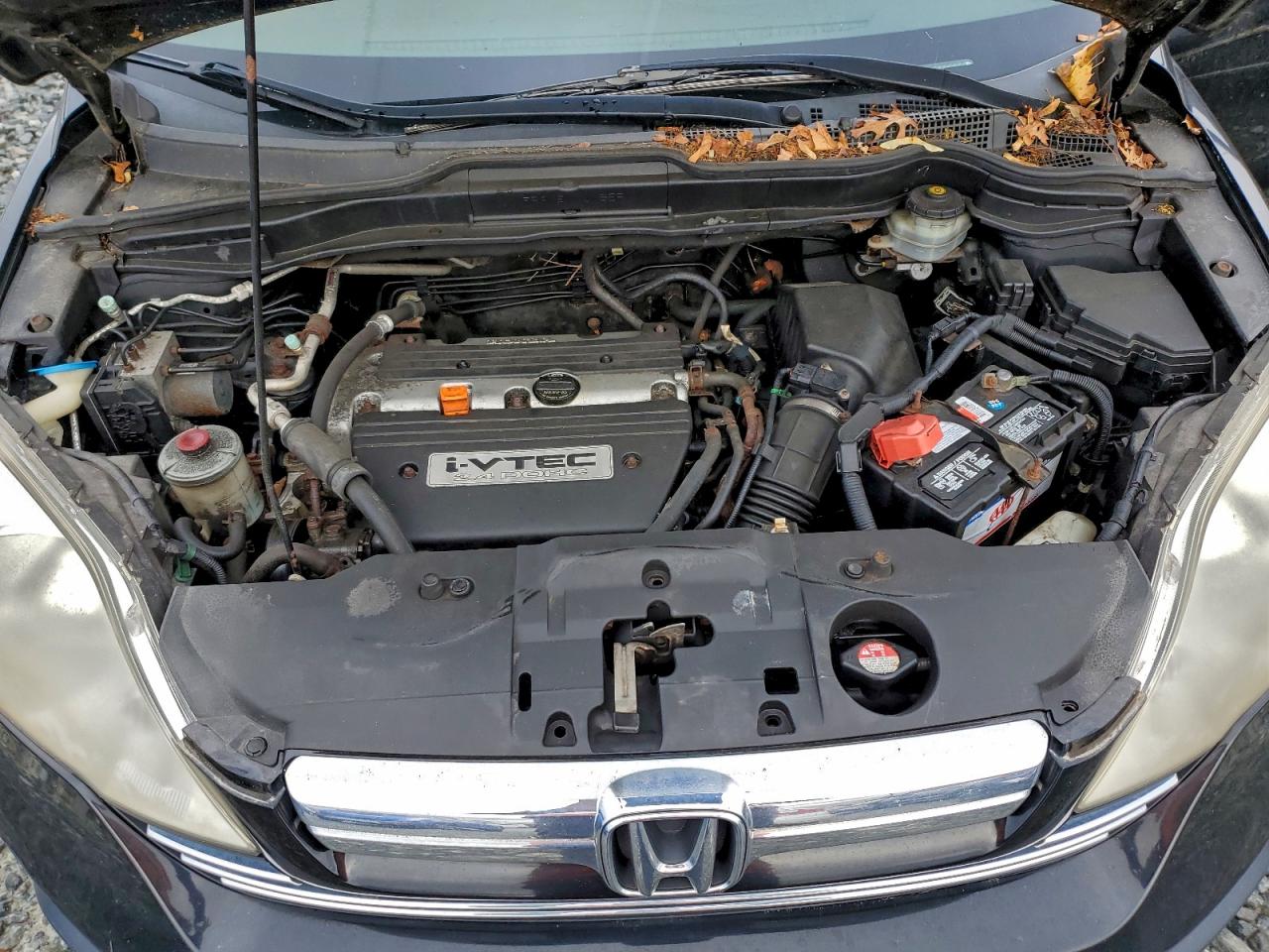 2007 Honda Cr-V Exl VIN: JHLRE48787C108685 Lot: 94547185