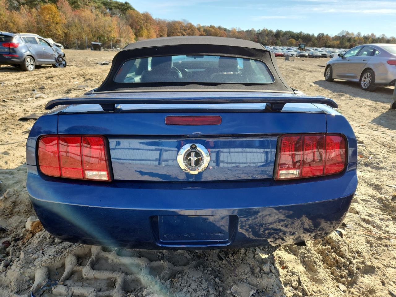 2006 Ford Mustang VIN: 1ZVFT84N065115602 Lot: 91654335