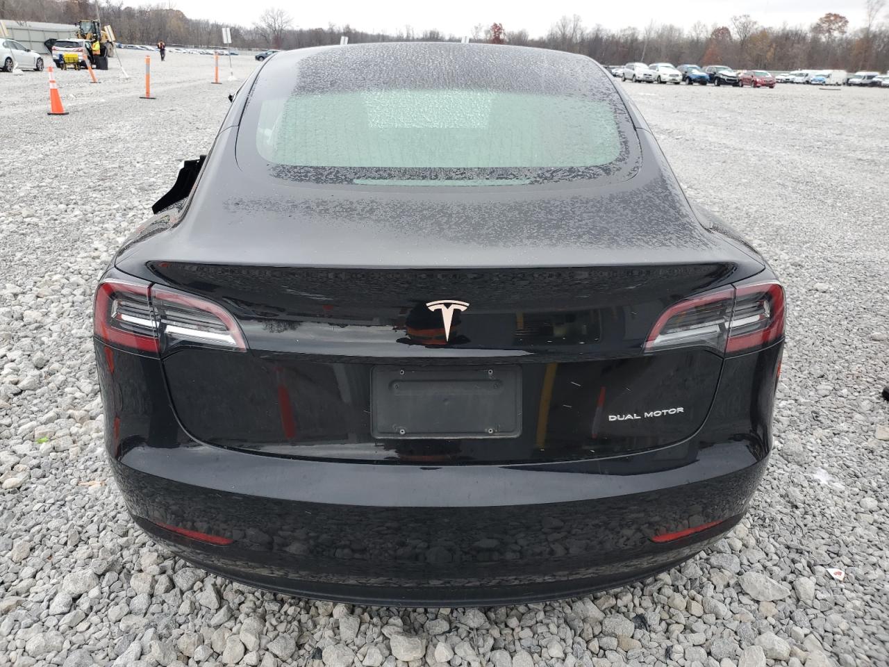 2019 Tesla Model 3 VIN: 5YJ3E1EB0KF388804 Lot: 92224205