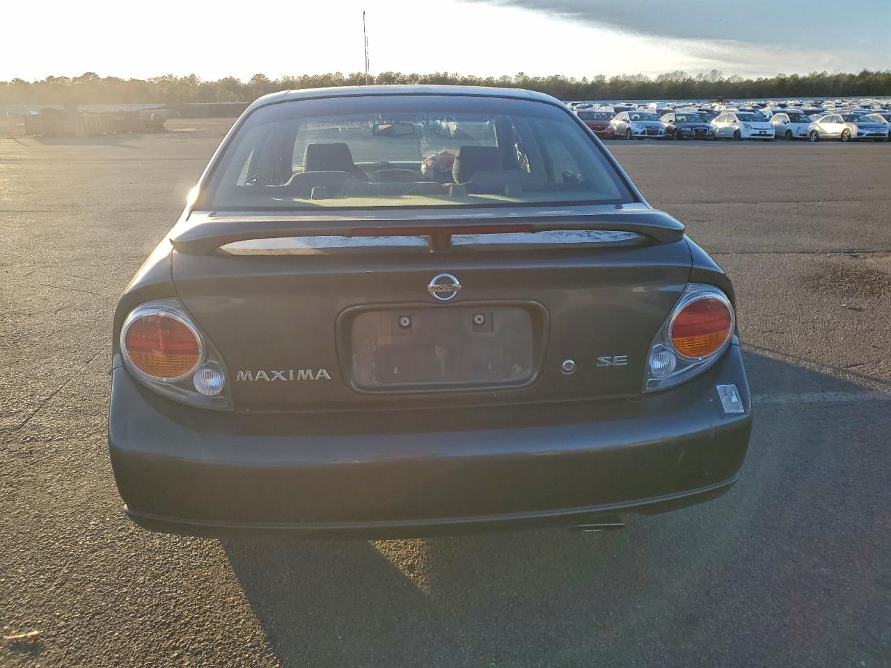2003 Nissan Maxima Gle VIN: JN1DA31D83T512449 Lot: 93860905