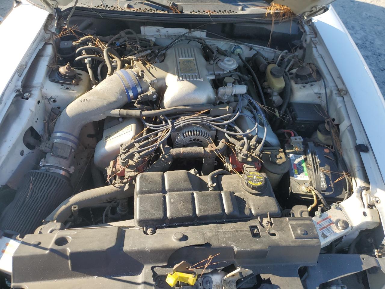 1998 Ford Mustang Cobra VIN: 1FAFP47V2WF126225 Lot: 93602865