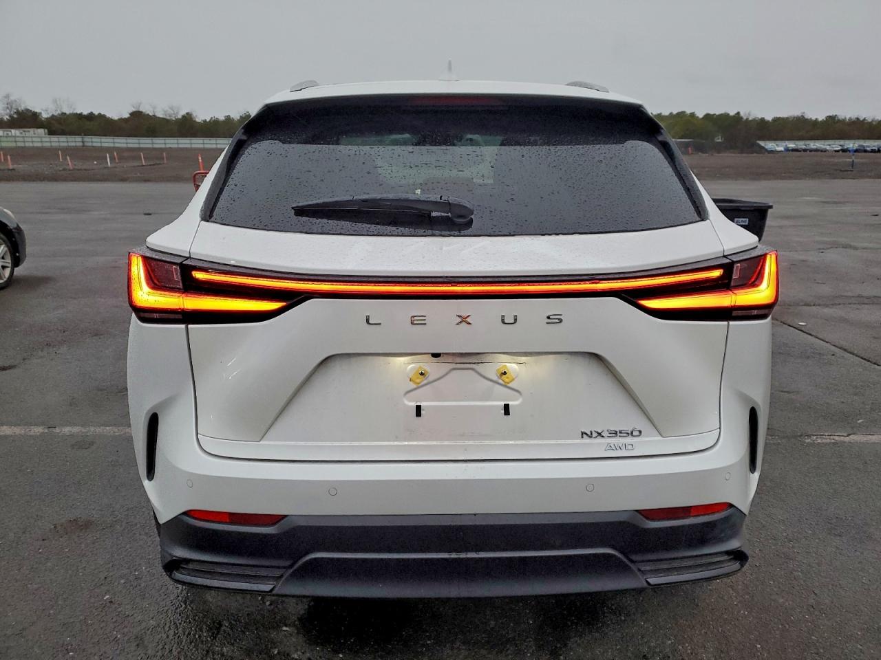 2025 Lexus Nx 350 Luxury VIN: 2T2HGCEZ5SC091990 Lot: 94246585