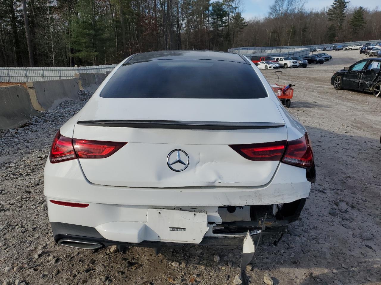 2020 Mercedes-Benz Cla 250 4Matic VIN: W1K5J4HBXLN119381 Lot: 93300575