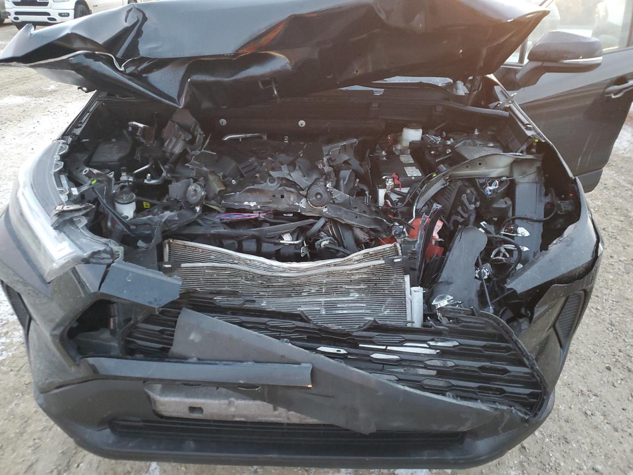 2023 Toyota Rav4 Xle VIN: 2T3R1RFV7PC388833 Lot: 93253525