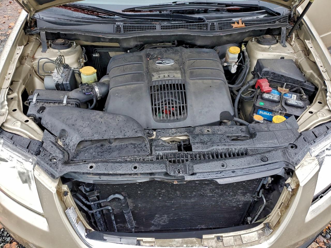 2009 Subaru Tribeca Limited VIN: 4S4WX97D694406384 Lot: 93846505