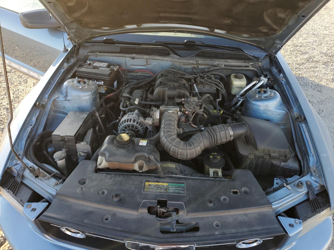 2007 Ford Mustang VIN: 1ZVFT80NX75244115 Lot: 92420495