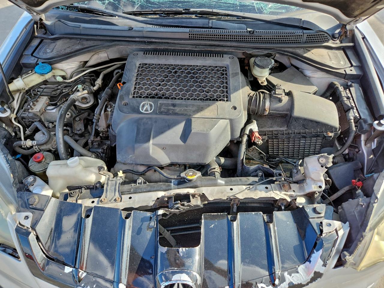 Фото: 5J8TB18527A012461