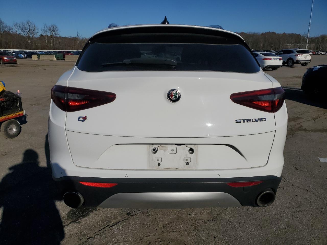 2020 Alfa Romeo Stelvio VIN: ZASPAKANXL7C83415 Lot: 91966355