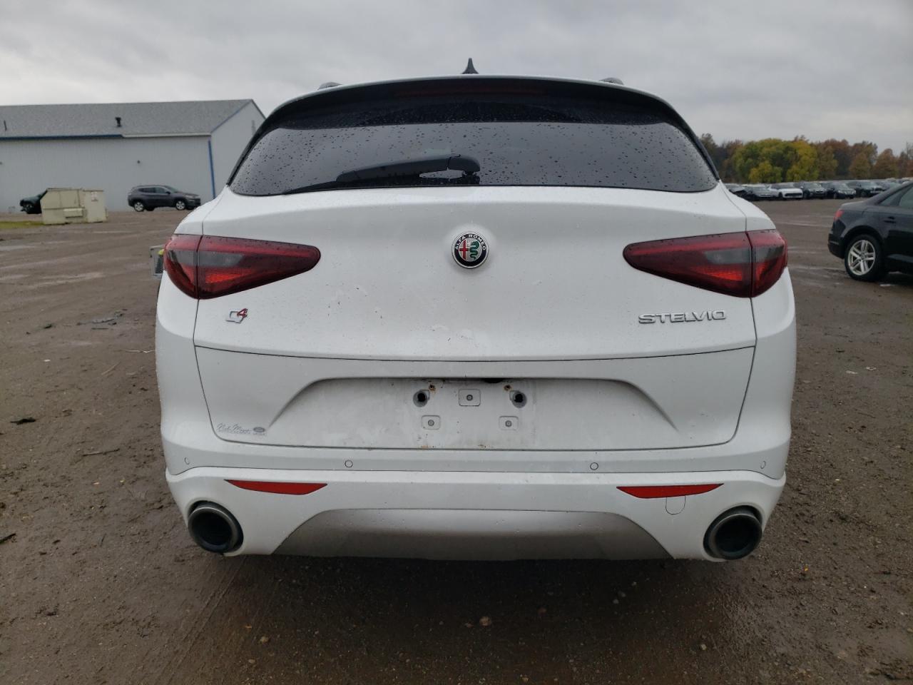 2020 Alfa Romeo Stelvio VIN: ZASPAKAN7L7C84666 Lot: 92021605