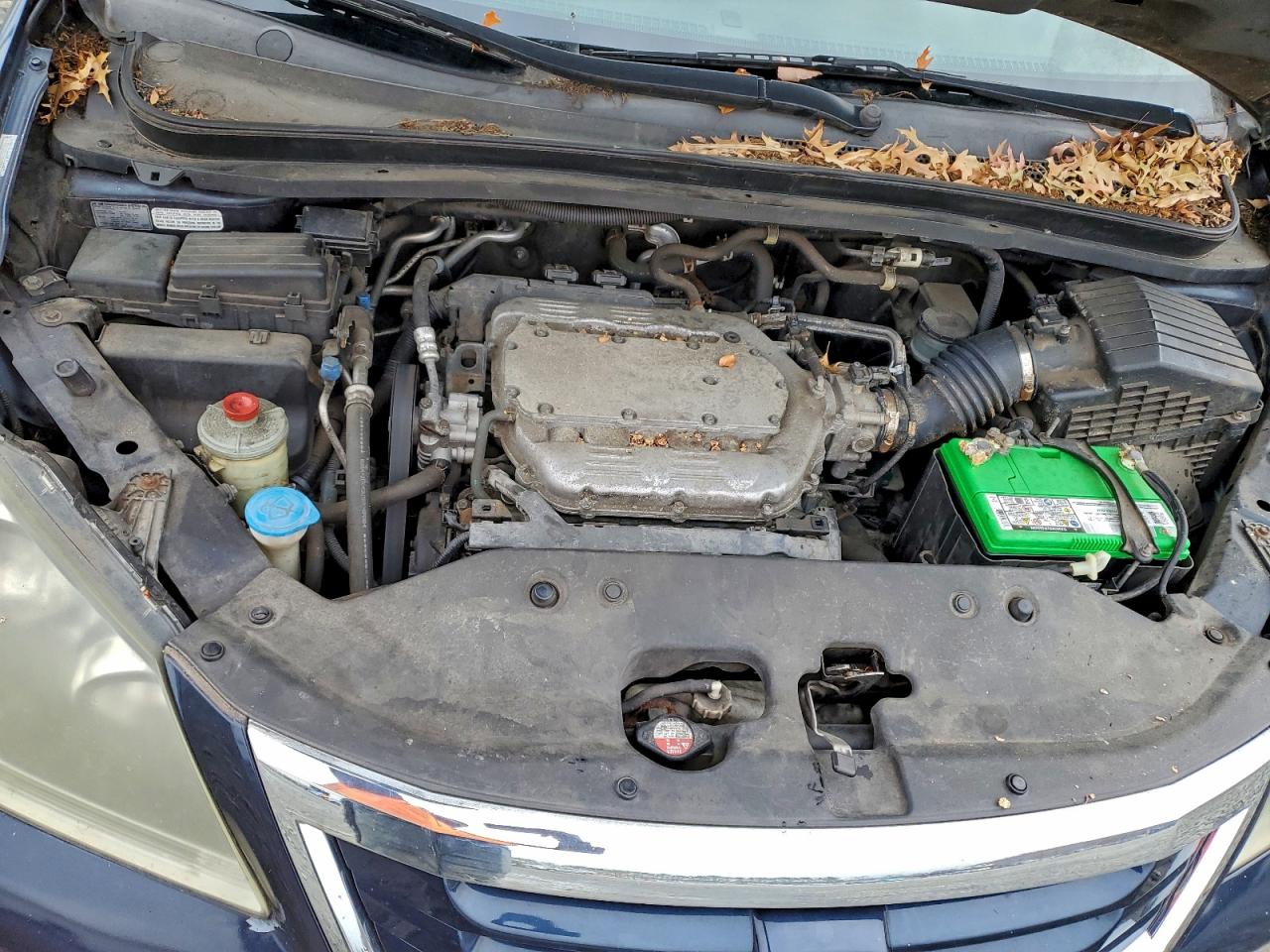 2009 Honda Odyssey Exl VIN: 5FNRL38729B012019 Lot: 94540055