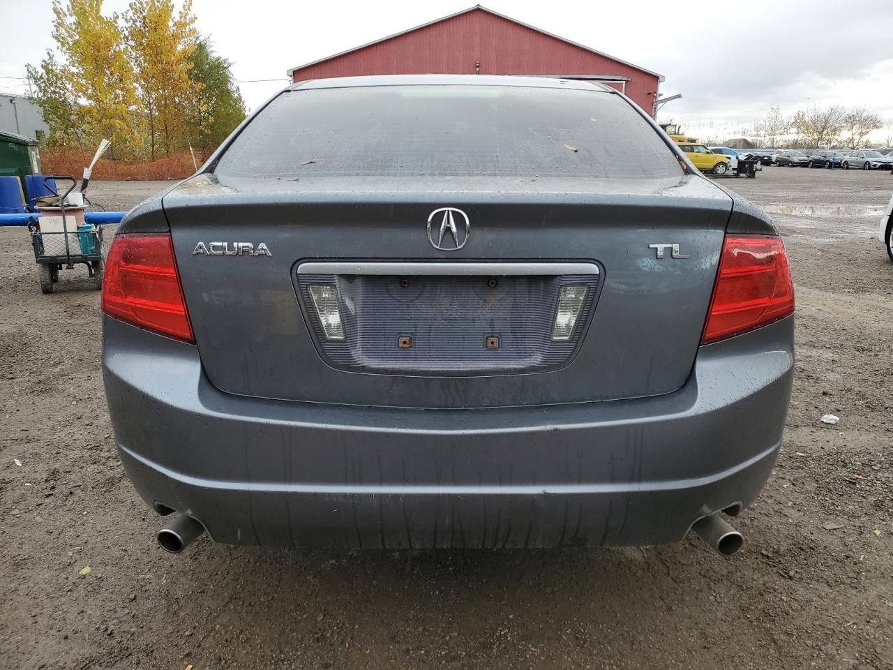 2005 Acura Tl VIN: 19UUA66245A804671 Lot: 91596455