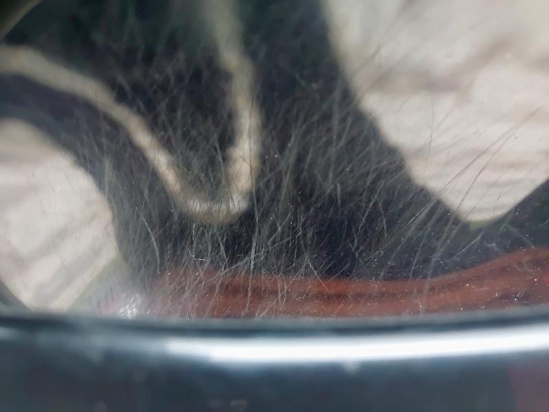 2019 JAGUAR XE 2.0D [180] R-SPORT 4DR AUTO