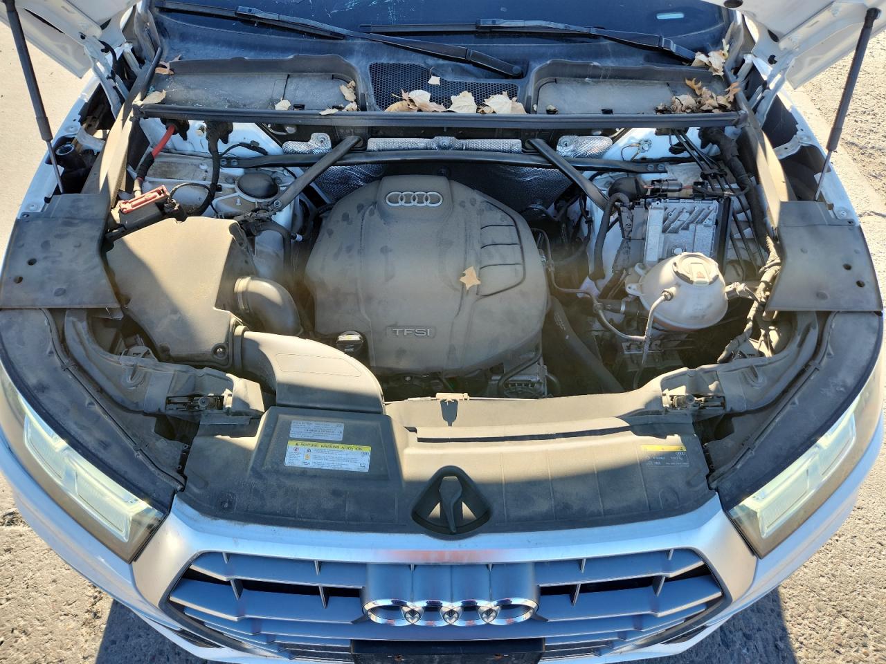 2020 Audi Q5 Premium Plus VIN: WA1BNAFYXL2044930 Lot: 92988145