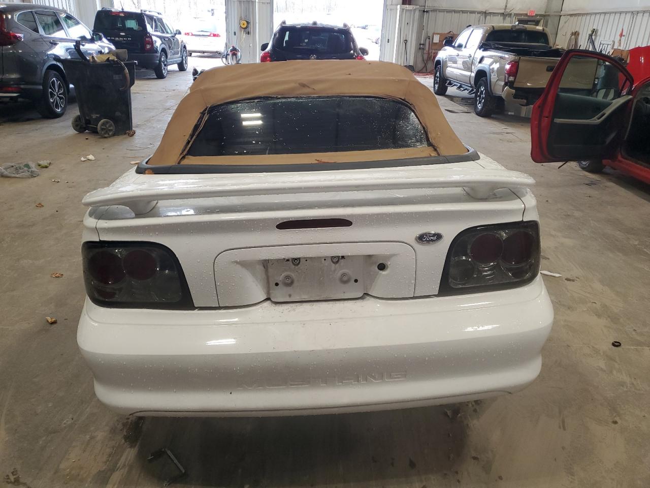 1998 Ford Mustang VIN: 1FAFP4443WF262942 Lot: 91736085