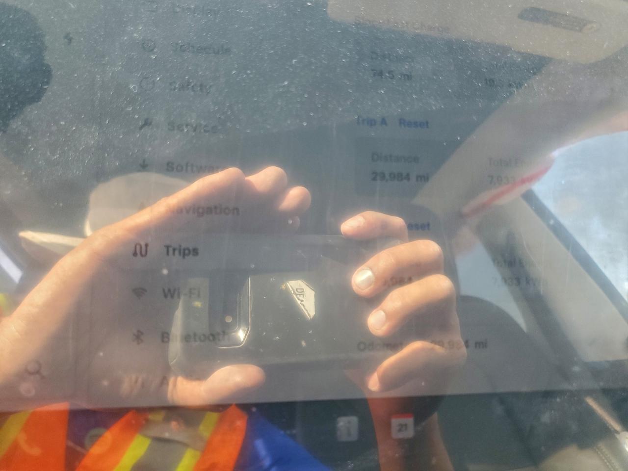 2023 Tesla Model Y VIN: 7SAYGDEE5PA184776 Lot: 93964905