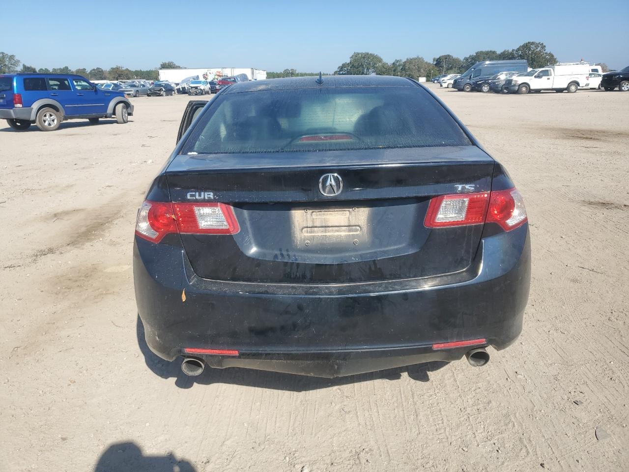 2010 Acura Tsx VIN: JH4CU2F69AC036518 Lot: 91345635