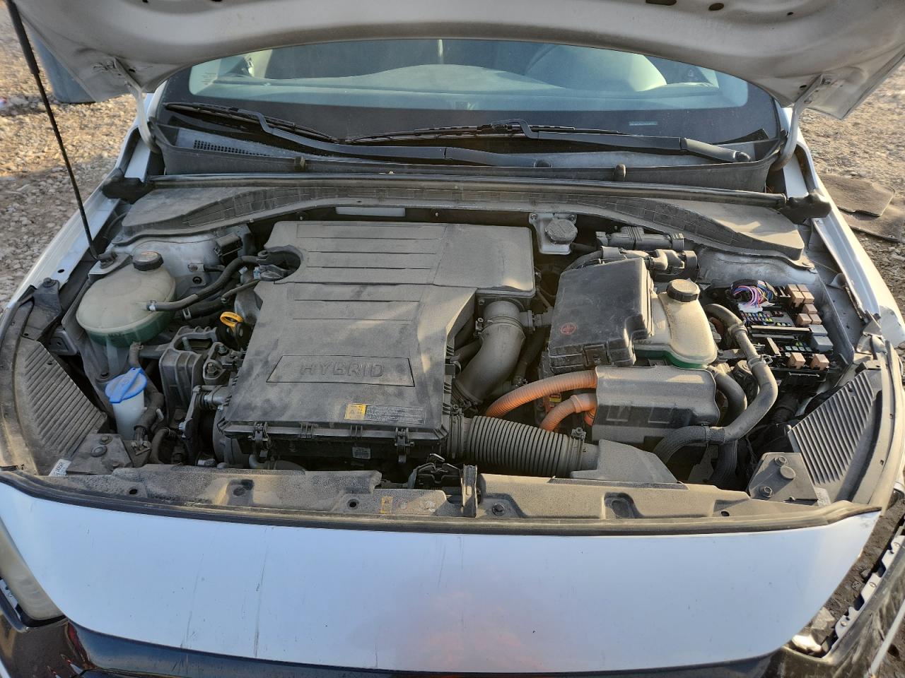 2017 Hyundai Ioniq Blue VIN: KMHC65LC7HU054376 Lot: 93331125