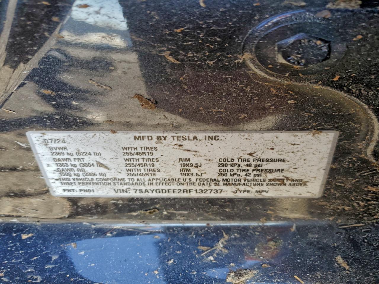 2024 Tesla Model Y VIN: 7SAYGDEE2RF132737 Lot: 93760855