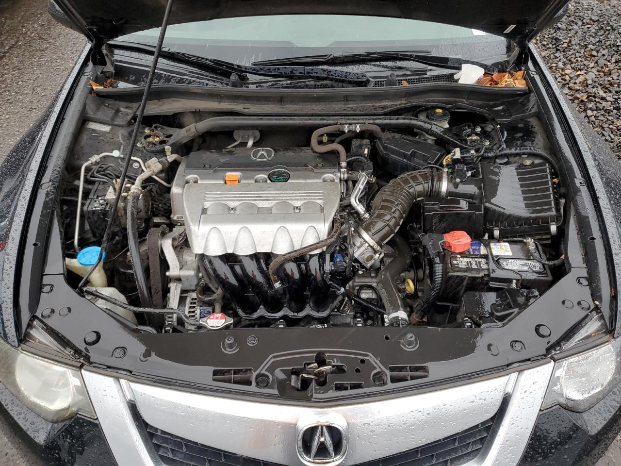 2010 Acura Tsx VIN: JH4CU2F63AC008519 Lot: 91464595