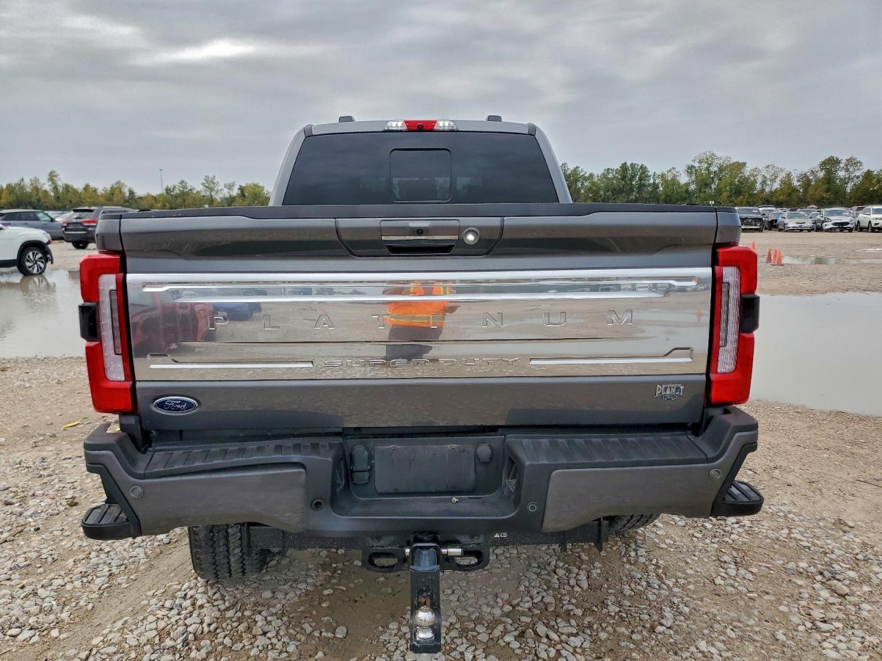 2024 Ford F250 Super Duty VIN: 1FT8W2BM9REE83873 Lot: 94249055