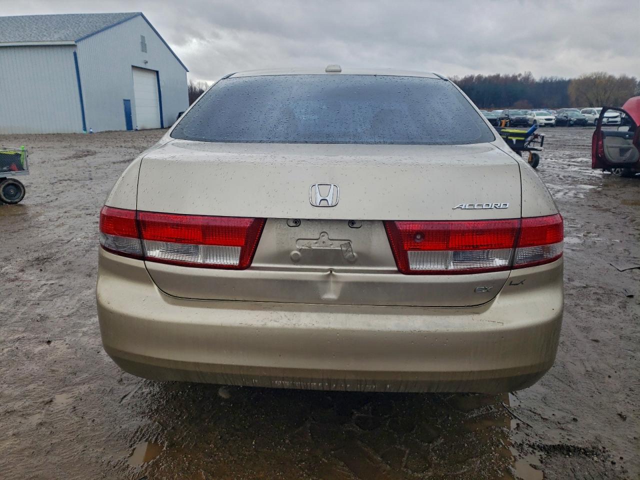 2004 Honda Accord Ex VIN: JHMCM56824C019289 Lot: 94676815