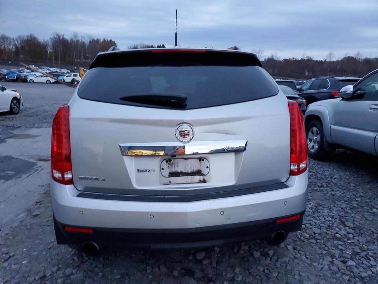 2010 Cadillac Srx Luxury Collection VIN: 3GYFNDEY9AS543806 Lot: 90733165